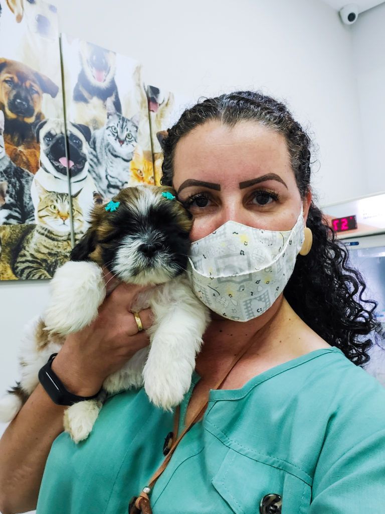 Vacinação animal é importante?