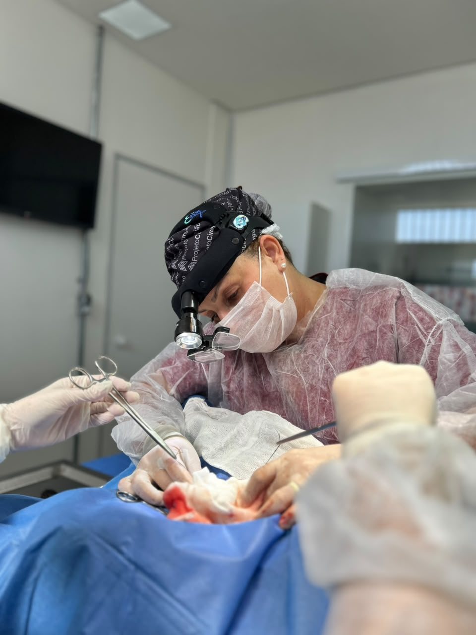 Dra. Luciana Peleja durante cirurgia de tecidos moles
